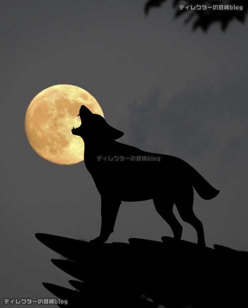 2023年最初の満月"1月ウルフムーン(狼月)"を見るなら 7日(土)の夜！