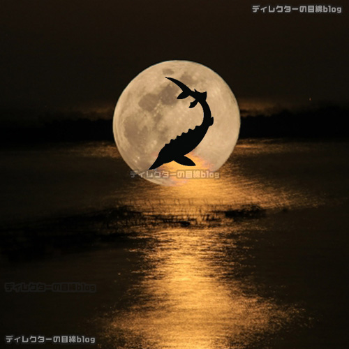 2023年8月の満月"スタージョンムーン(チョウザメ月)"を見るなら2日(水)の夜!