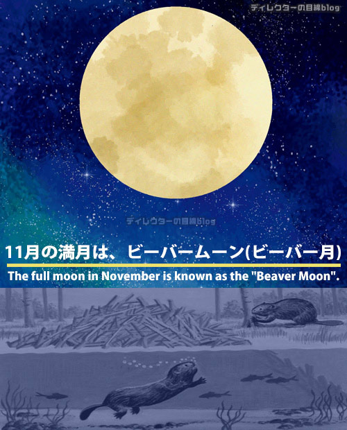 2023年11月の満月"ビーバームーン"を見るなら27日(月)の夜! ※船橋プラネタリウムのGN-AT型投映機｢コスモくん｣間もなく卒業…
